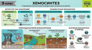 Хемосинтез схема процесу