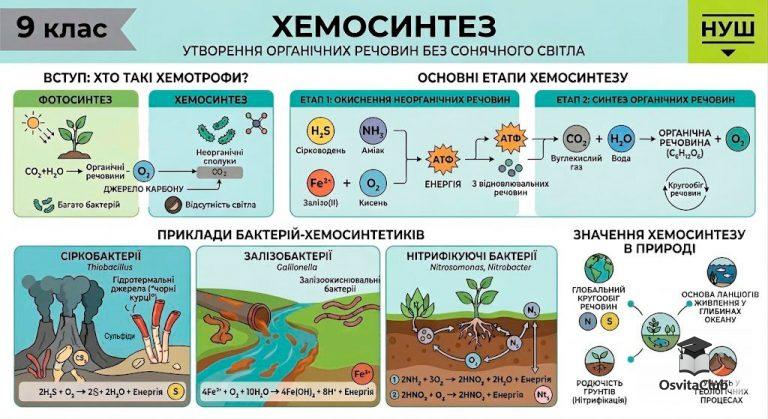 Хемосинтез схема процесу