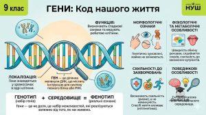 Гени схема будова ДНК